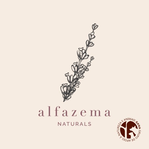 Alfazema - Artesanato