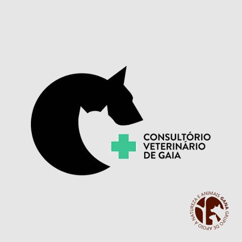 Consultório Veterinário de Gaia