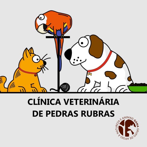 Clínica Veterinária de Pedras Rubras