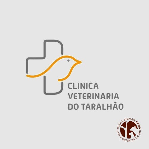 Clínica Veterinária do Taralhão
